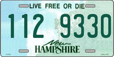 NH license plate 1129330