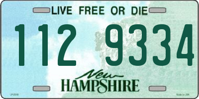 NH license plate 1129334