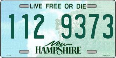 NH license plate 1129373
