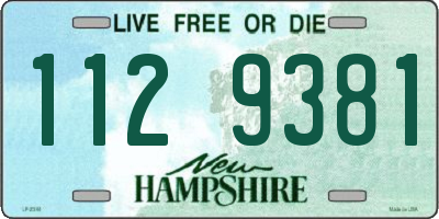 NH license plate 1129381