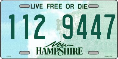 NH license plate 1129447