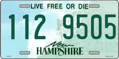 NH license plate 1129505