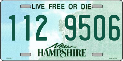 NH license plate 1129506