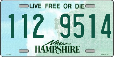 NH license plate 1129514