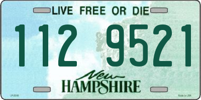 NH license plate 1129521