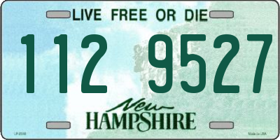NH license plate 1129527