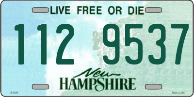 NH license plate 1129537