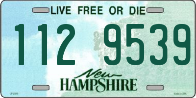 NH license plate 1129539