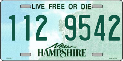 NH license plate 1129542