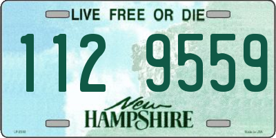 NH license plate 1129559