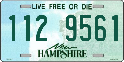 NH license plate 1129561