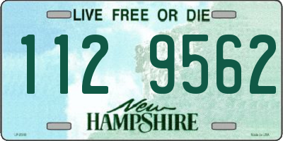NH license plate 1129562