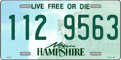 NH license plate 1129563