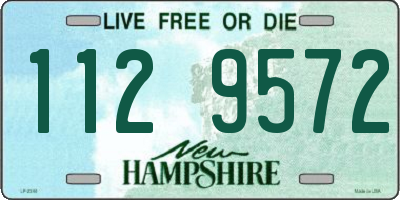NH license plate 1129572