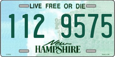 NH license plate 1129575