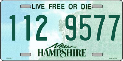 NH license plate 1129577