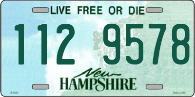NH license plate 1129578