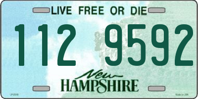 NH license plate 1129592
