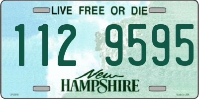 NH license plate 1129595