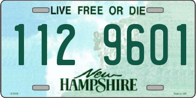 NH license plate 1129601