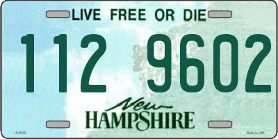 NH license plate 1129602