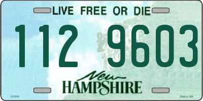 NH license plate 1129603