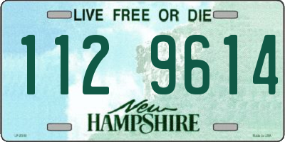 NH license plate 1129614