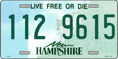 NH license plate 1129615