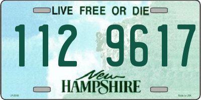 NH license plate 1129617