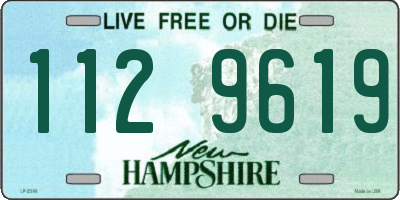 NH license plate 1129619