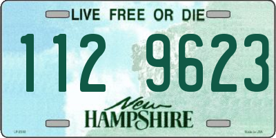 NH license plate 1129623