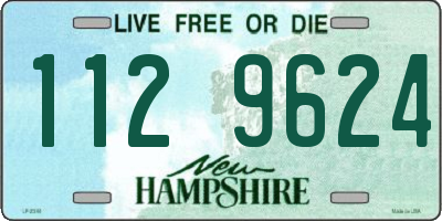 NH license plate 1129624
