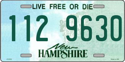 NH license plate 1129630