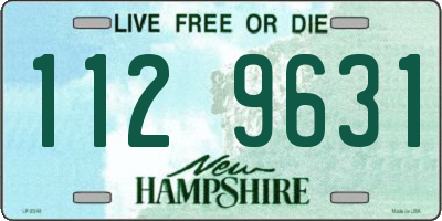 NH license plate 1129631