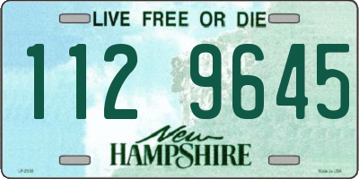 NH license plate 1129645