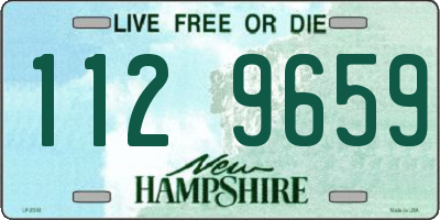 NH license plate 1129659
