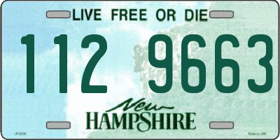 NH license plate 1129663