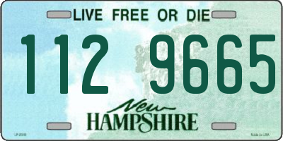 NH license plate 1129665