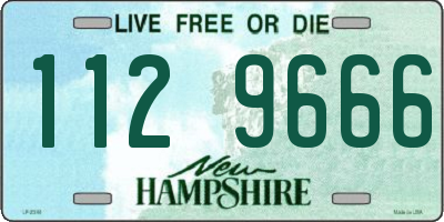 NH license plate 1129666