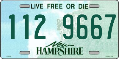 NH license plate 1129667