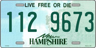 NH license plate 1129673