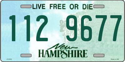 NH license plate 1129677