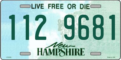 NH license plate 1129681