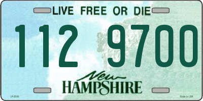 NH license plate 1129700