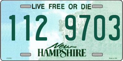 NH license plate 1129703