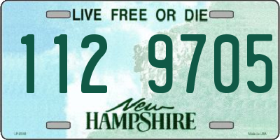 NH license plate 1129705