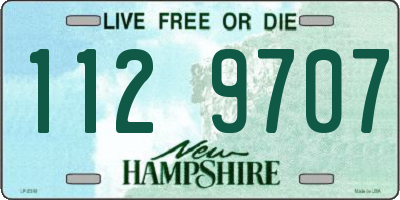 NH license plate 1129707