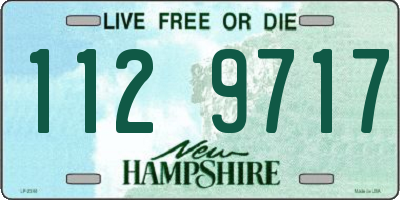 NH license plate 1129717