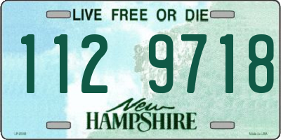 NH license plate 1129718
