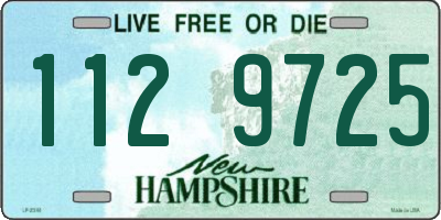 NH license plate 1129725